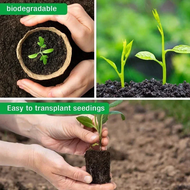 Biodegradable Nursery Seedling Pots