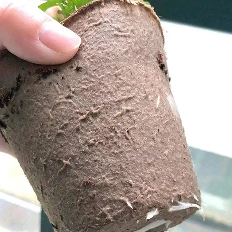 Biodegradable Nursery Seedling Pots