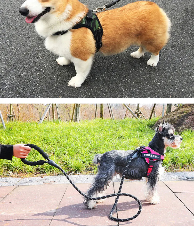 Strong Reflective Dog Leash