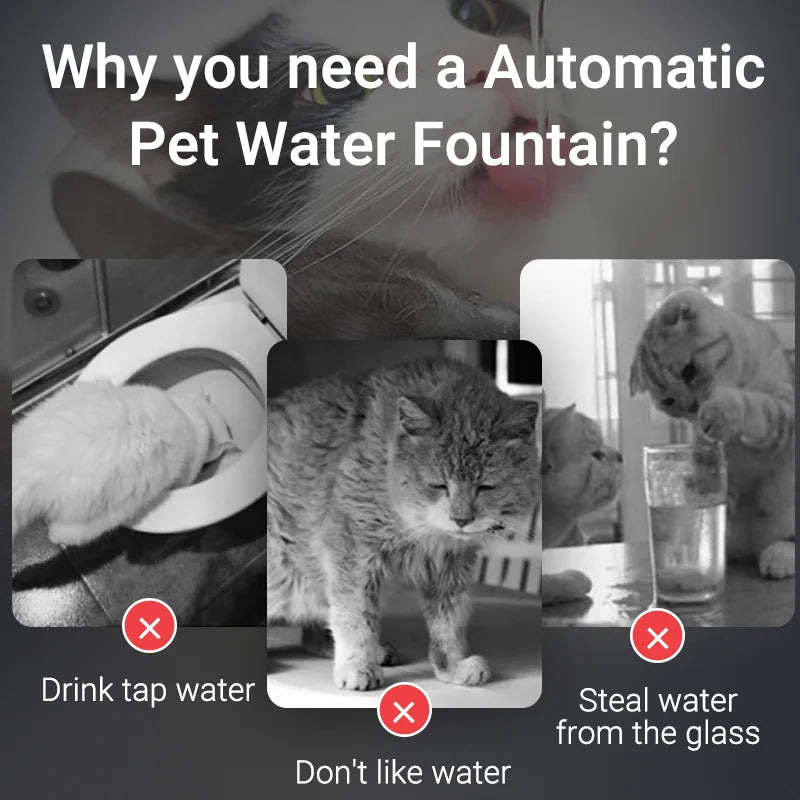 Smart Cat Water Fountain
