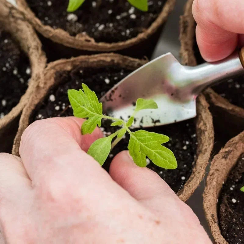 Biodegradable Nursery Seedling Pots