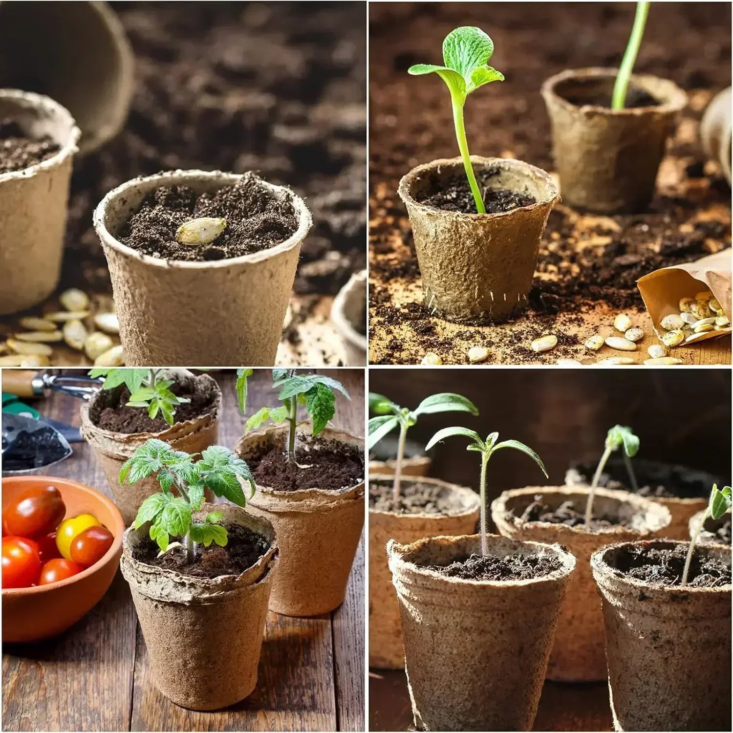 Biodegradable Nursery Seedling Pots