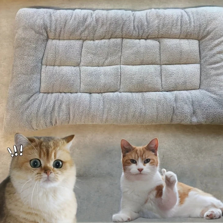Extra Large Plush Dog Bed